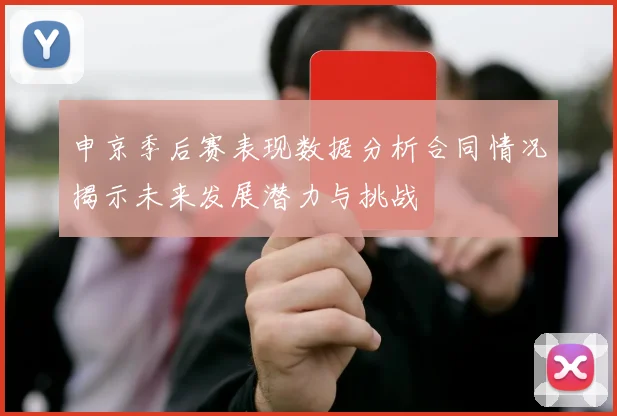 申京季后赛表现数据分析合同情况揭示未来发展潜力与挑战