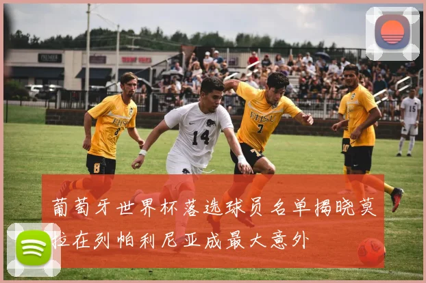 葡萄牙世界杯落选球员名单揭晓莫拉在列帕利尼亚成最大意外